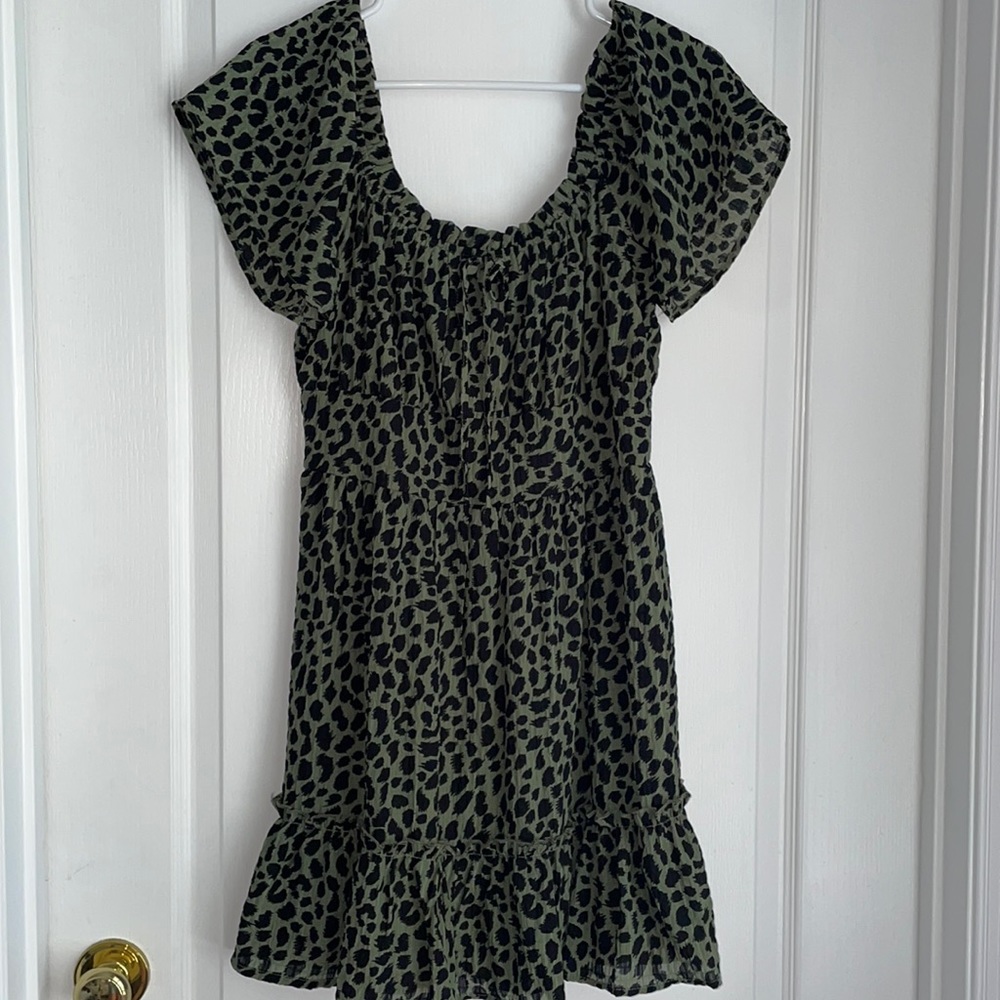 Francesca’s Dress